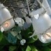 Set of 2 Nautical, Beach Theme Jar Tealight Holders for Weddings & Special Events