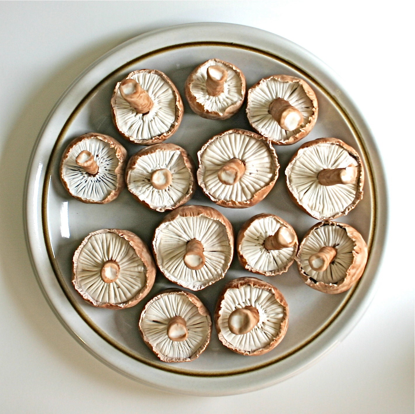 Chocolate Candy Mushrooms LifeSize 12 -As Seen in Urban Outfitters and Better Homes and Gardens