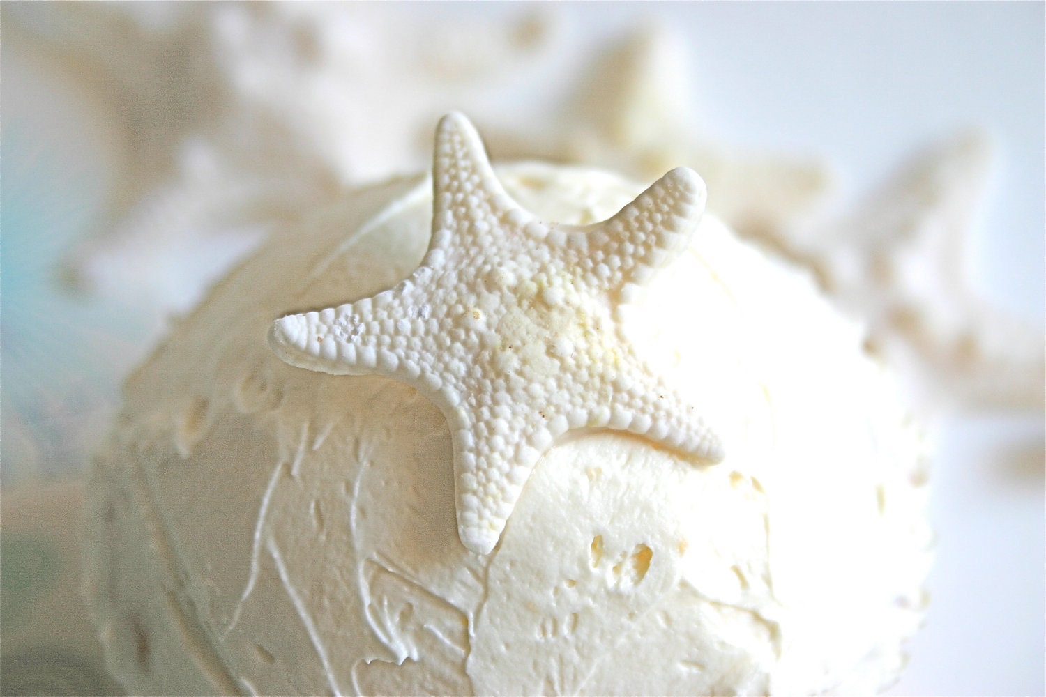 Edible Mini Armored Starfish -Cake Topper, Cake Embellishment, Edible Decor (24)
