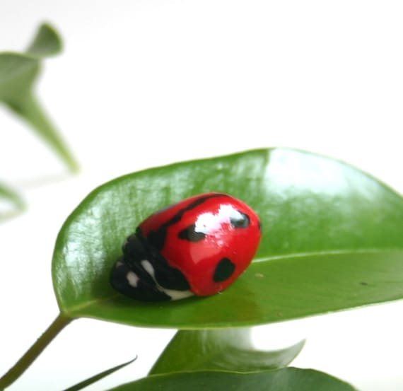Edible Sugar Lady Bugs / Lady Birds / 10 realistic candy / embelishments
