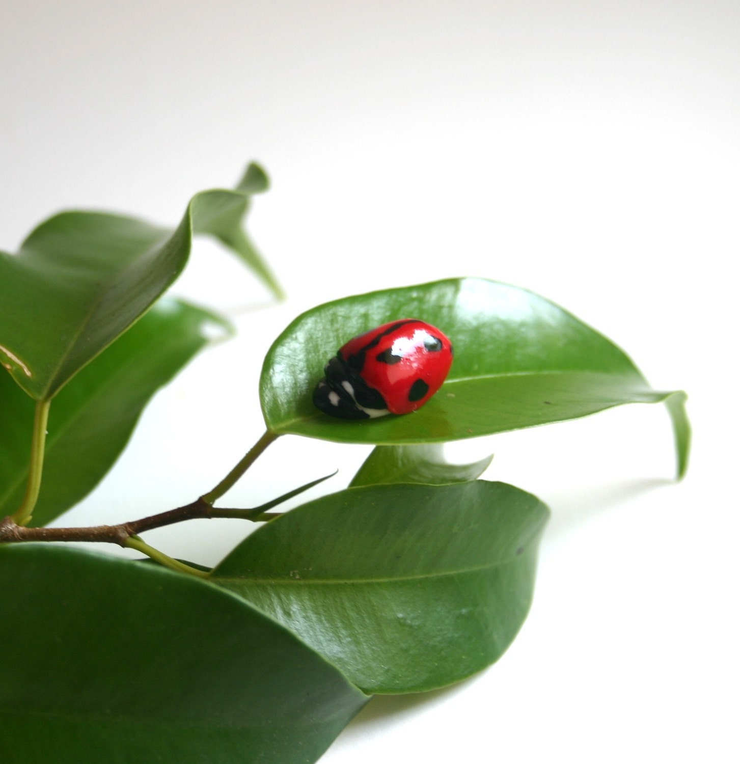 Edible Sugar Lady Bugs / Lady Birds / 10 realistic candy / embelishments