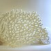 Edible Sugar Fan Coral - 9 pieces - Beach Wedding / Beach Event