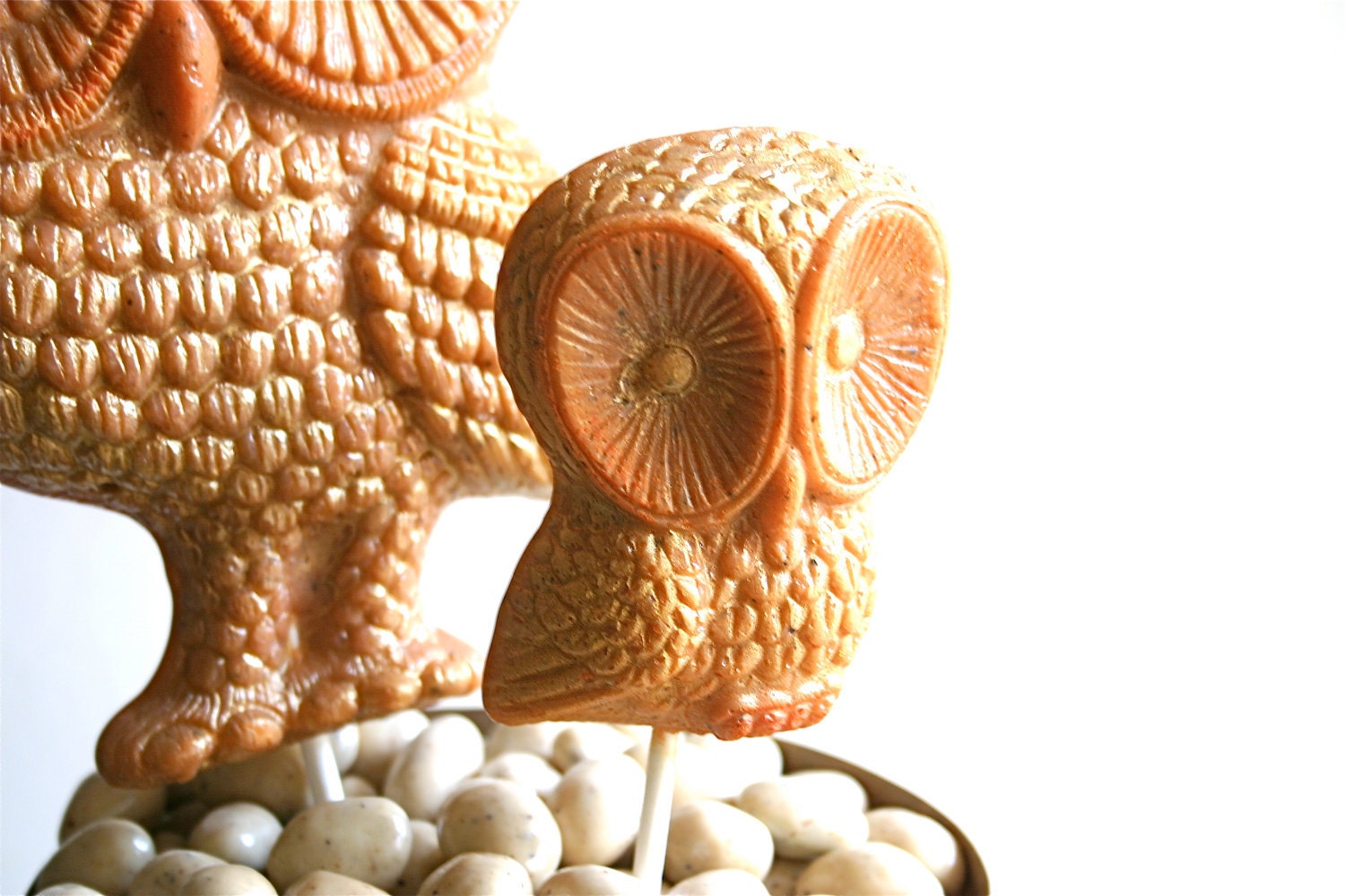Hard Candy Lollipops -Woodland Hoot- Coffee Flavored -a hand made, statement candy