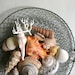 Edible Chocolate Filled Candy Seashells 8 - great for cake decorating, gift giving, favors, and stand alone