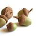 Edible Chocolate Cocoa Bean Candy Acorns 10 -Featured in Martha Stewart Weddings Fall 2012- Edible Cake Topper or Stand Alone Candy