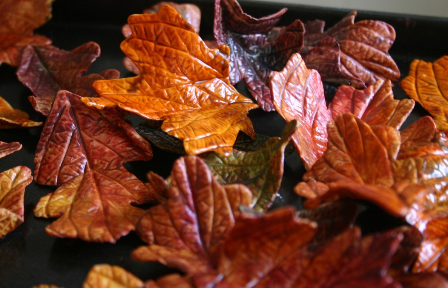 Edible+Fall+Mushrooms+In+Indiana Edible Fall Mushrooms In Indiana http://www.etsy.com/listing/52555739 ...