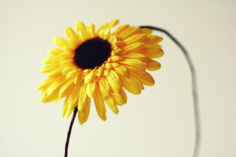 hair crown - sunflower yellow // woodland collection