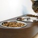 Wall mounted pet feeder for cats - Wenge