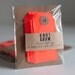 10 Neon Red Parcel Gift Tags