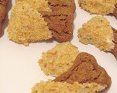 Wheat Free All Natural Dog Treats 1 lb by Muddy Puppys Gourmet Treat Bone Shape Pumpkin Peanuts Yogurt