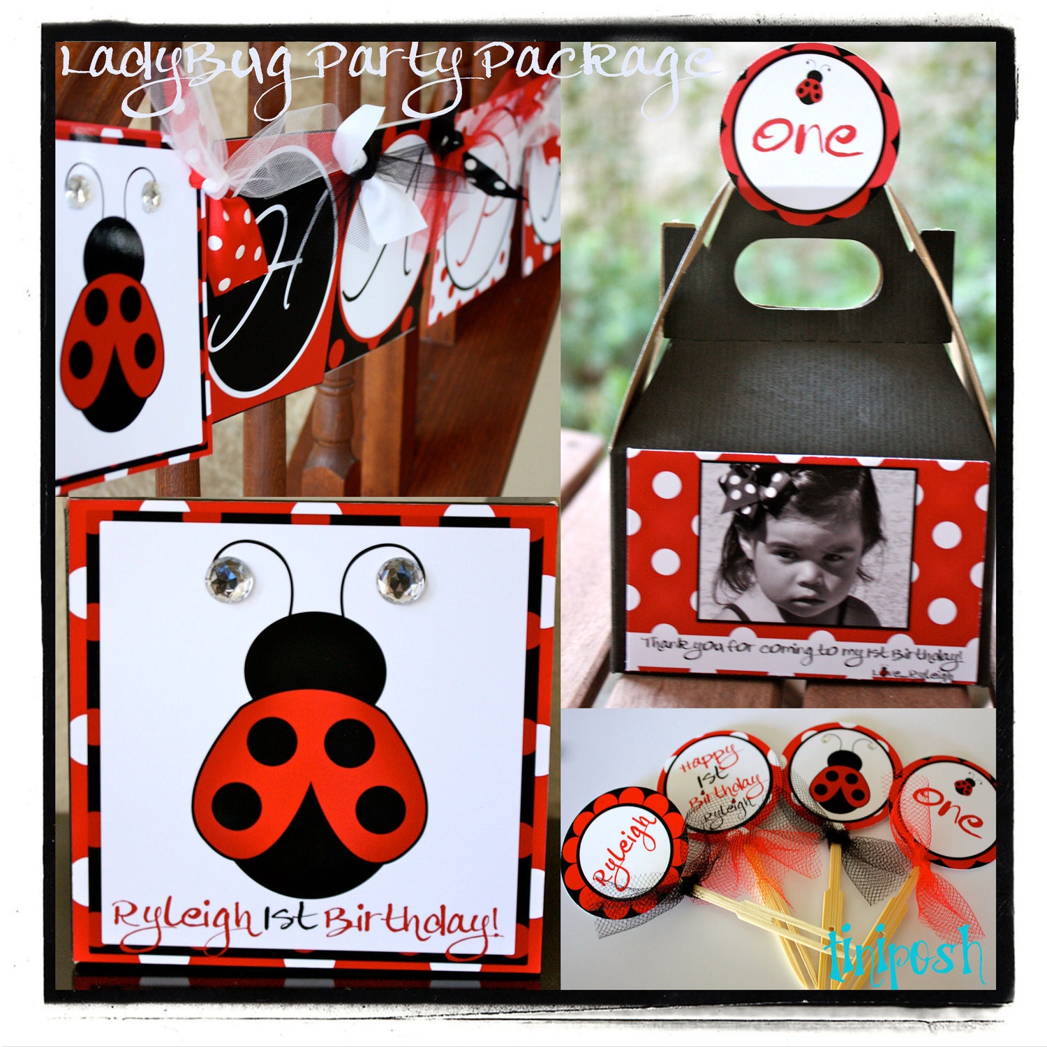 Ladybug Party Package