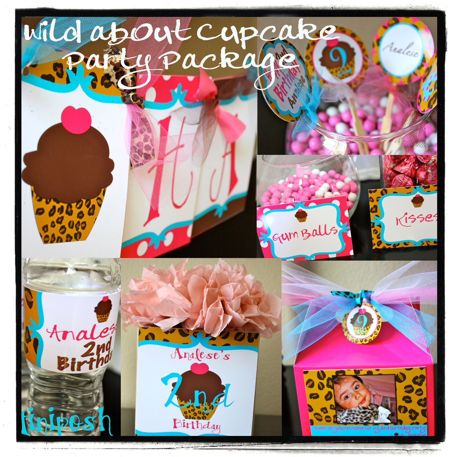 Wild about Cupcakes Party Package