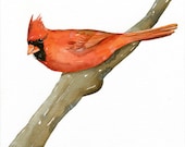 Watercolor Print Cardinal Bird - Original Painting by Lorisworld - Limited edition