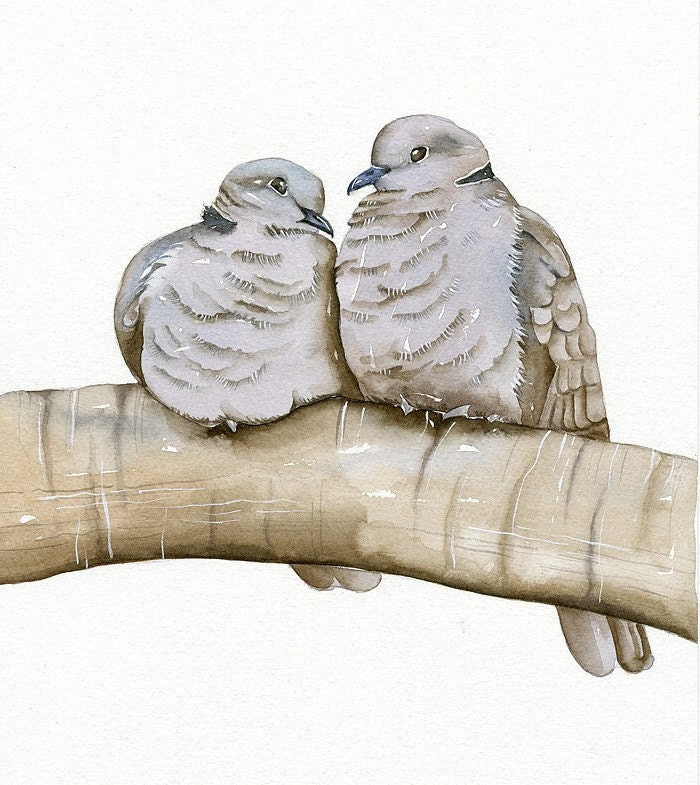 Pigeons - Watercolor Art Print Open Edition - Bird Painting by Lorisworld