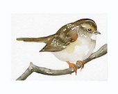 Sparrow Bird ACEO Art Print of my original watercolor, painting by Lorisworld