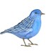 BIRD No.2 - Watercolor Art Print Open Edition - Blu Bird Painting by Lorisworld