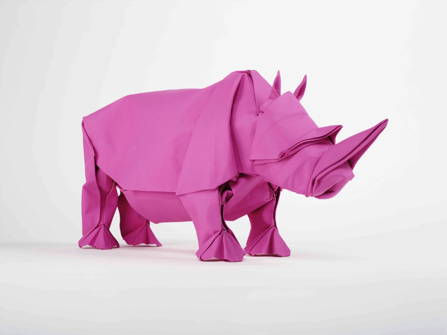 MAGENTA RHINO "Ionesco Series"(edition of 9)