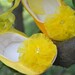 Soft bottoms yellow party shoes Tutu skirts  ballat flats infants baby toddler girl shoes