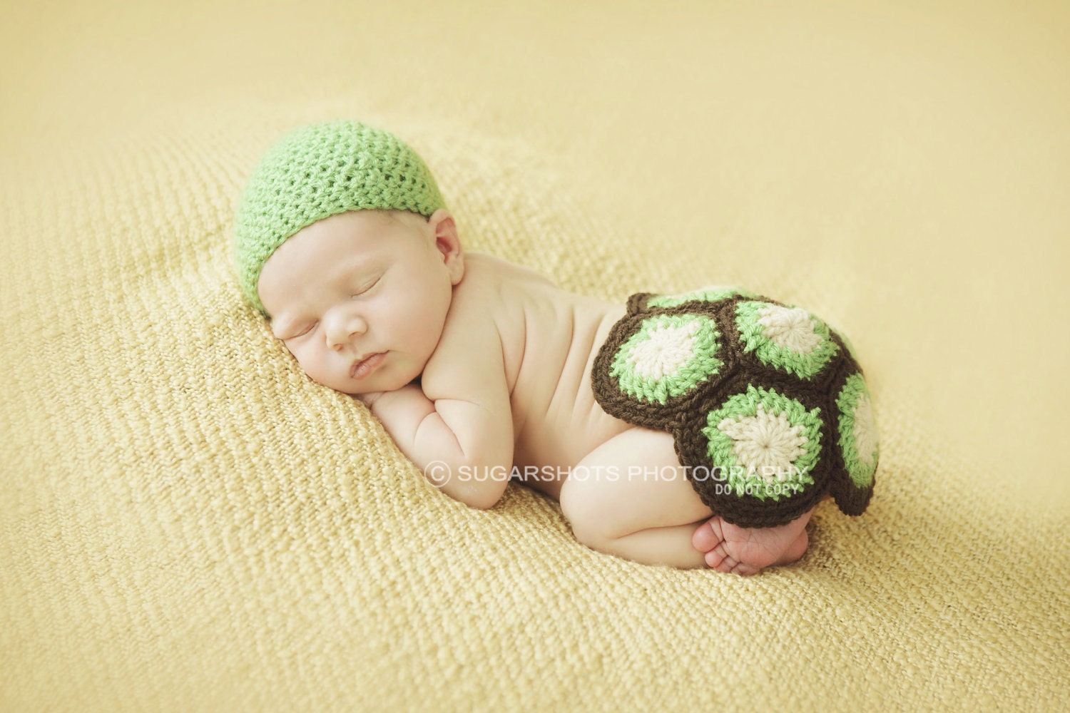 Tiny Turtle Photography Prop