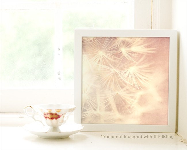 nature photography, all is full of love, surreal dandelion photograph romantic spring botanical silvery white lavender, pink baby nursery