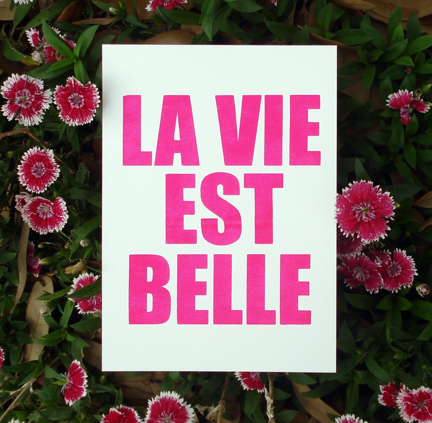 La Vie Est Belle Mini Print - 5x7 - Screen Print - Hot Pink or Gold - Home Decor - Typography