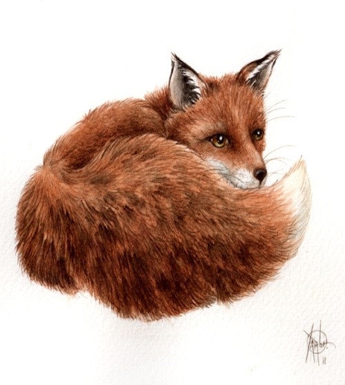 Original 9x7 Watercolour Red Fox 4.. . NOT A PRINT ..Original Painting