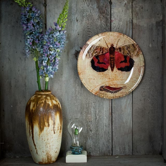 Red underwing moth - Decoupage Under Glass Plate