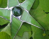 Sweet Potato Vine Star - KurtKnudsen