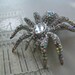 Wedding Brooch - Crystal Spider