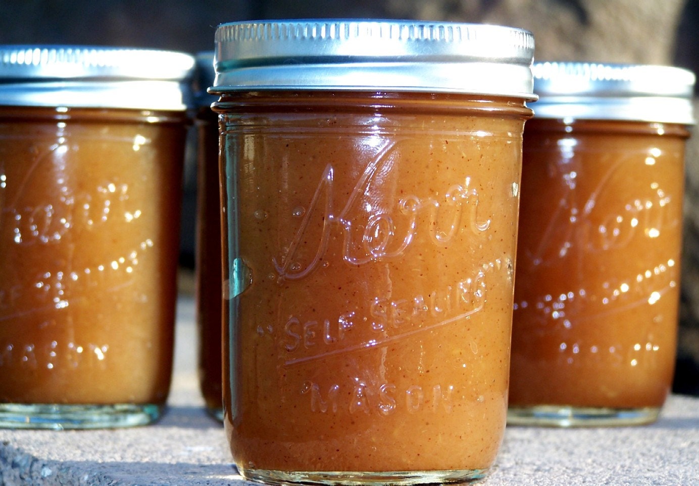 Delicious Apple Butter- 8oz Jar