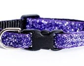 Cat Collar - The Purrrfectly Purple