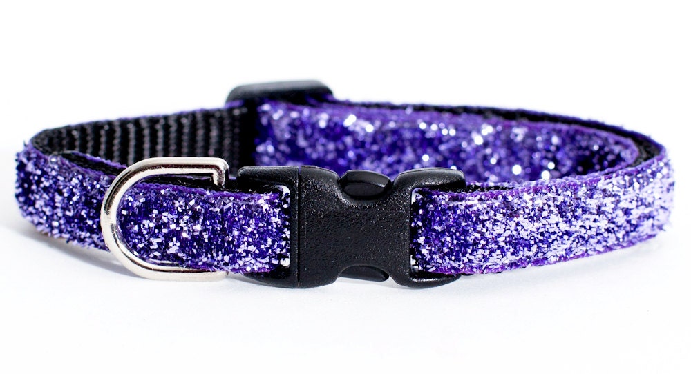 Cat Collar - The Purrrfectly Purple