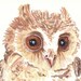 Owl Watercolor PRINT - Animal Watercolor, Limited Edition, 8x10 Print, 23/25