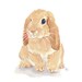 Rabbit Watercolor - Lop Earred Rabbit, Bunny Art, Original Painting, Rabbit Illustration, 8x10