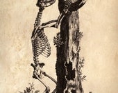 11x14 Vintage Science Animal Study. Bear 
Skeleton - 004