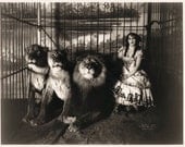 Adjie the Lion Tamer. 8x10 Vintage Circus Photograph Reproduction black and white. circa 1899. - 202