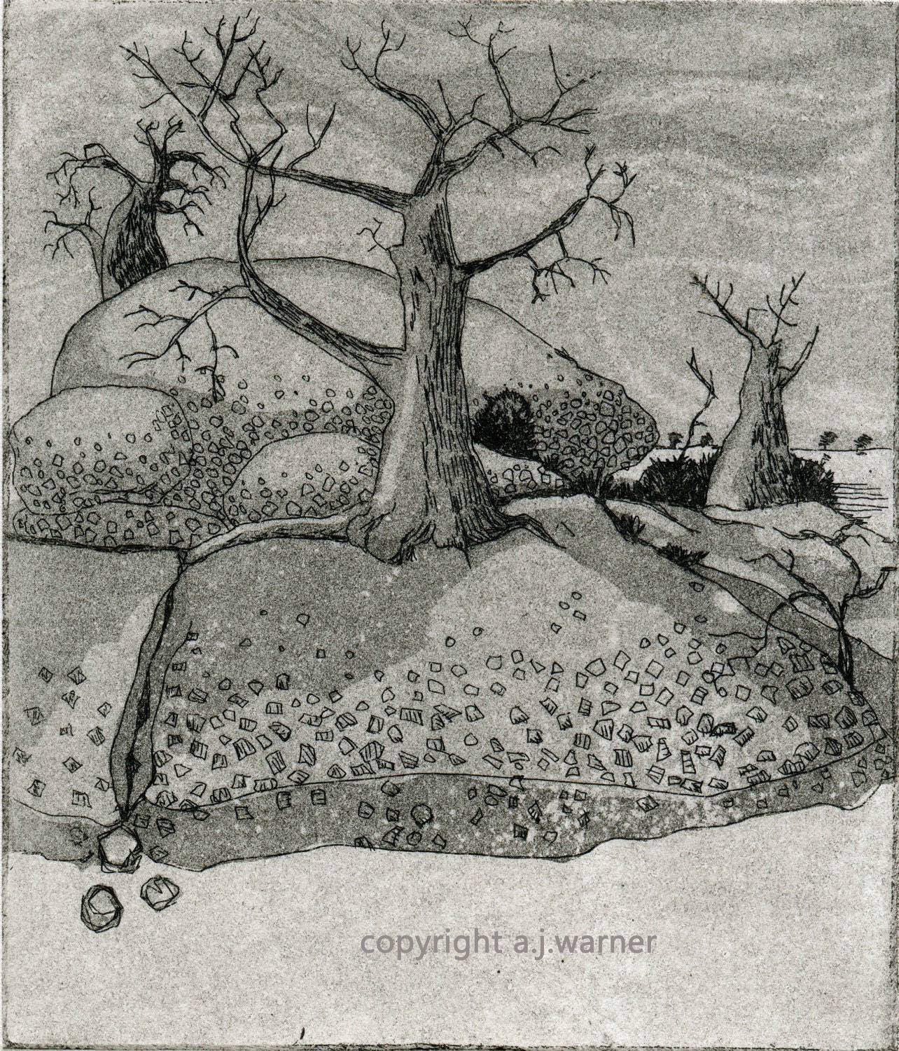 Island in a dry sea, - etching with aquatint. Artists Proof ,one off image size 5" x4" ,13cm x 10cm