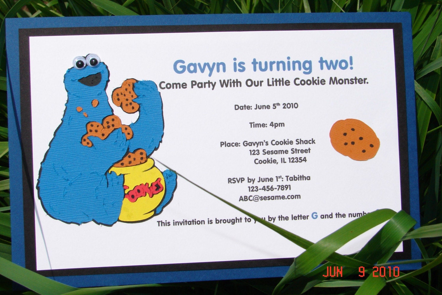 Cookie Monster Party Package