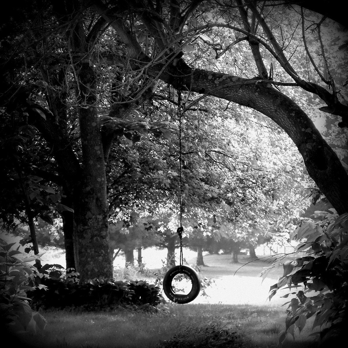 Tire Swing Photography