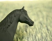 The Original Chalkboard Horse - Olivia