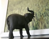 The Original Chalkboard Elephant - Bobo
