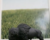 The Original Chalkboard Bison - Jackson