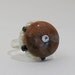 Akasha Petrified Wood and Pearl Ring