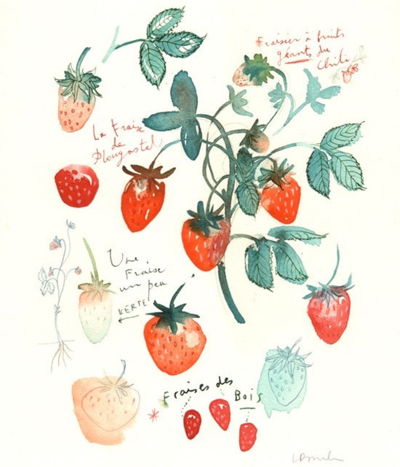 Les fraises - Original watercolor painting