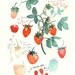 Les fraises - Original watercolor painting