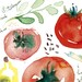 Tomato watercolor painting, illustrated recipe, vegetable 8X10 print, Italian food, Kitchen art, Red botanical Home decor, Cooking poster