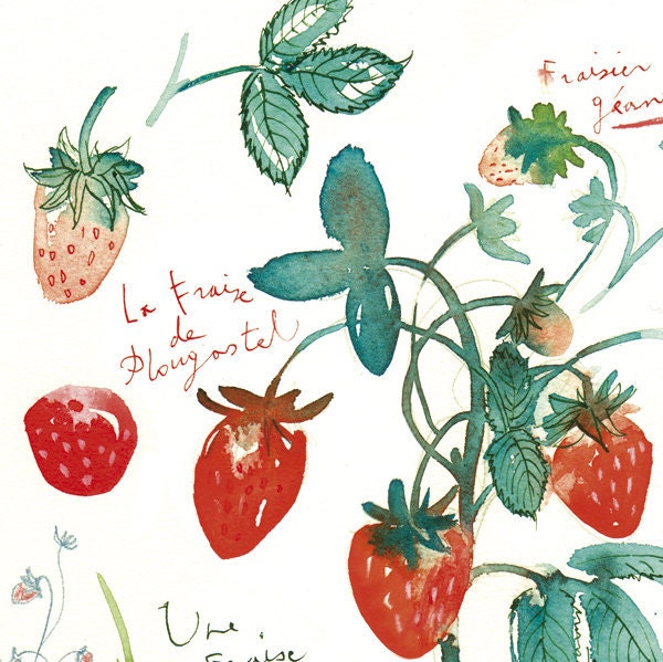 Kitchen art, Fruit print, Strawberry, Watercolor painting, 8X10, Botanical, Home decor, Food poster, red