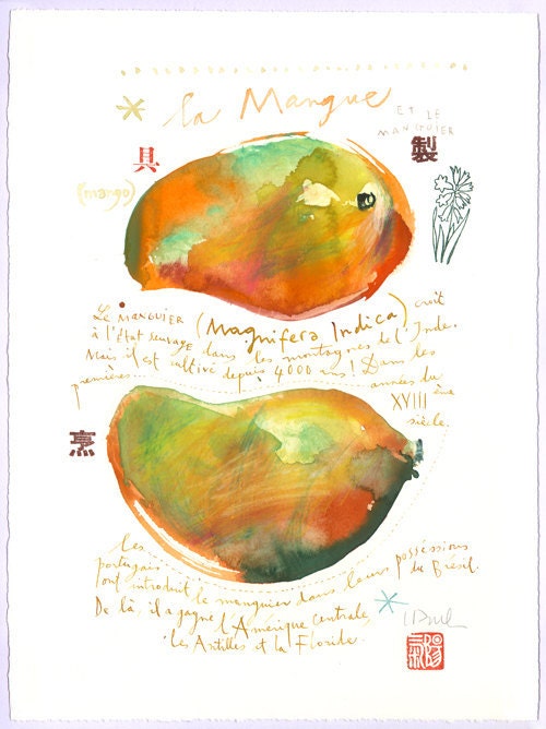 Mango - Original watercolor painting - Botanical plate