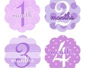 Monthly Baby Onesie Stickers Baby Month Stickers Baby Girl Stickers Monthly Onesie Stickers Baby Shower Gift Photo Prop Milestone Stickers