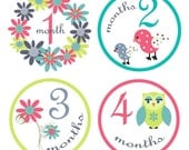 Monthly Baby Onesie Stickers Baby Month Stickers Baby Girl Stickers Monthly Onesie Stickers Baby Shower Gift Photo Prop Milestone Stickers